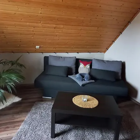 Apartmán Ziegler 2 Wildflecken